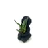 Kép 4/4 - Succulens + ölelő szobor