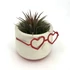 Kép 2/3 - Tillandsia + szív alakú szemüveges kaspó