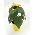 Kép 2/3 - Helianthus - cserepes napraforgó 