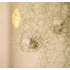 Kép 3/4 - Tillandsia függő üvegben