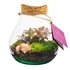 Kép 2/2 - Florarium Halley 