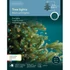 Kép 3/3 - Micro led karácsonyfára 240cm multi