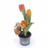 Kép 1/2 - Tulip Flaming Baby - Tulipán - 9/12-34