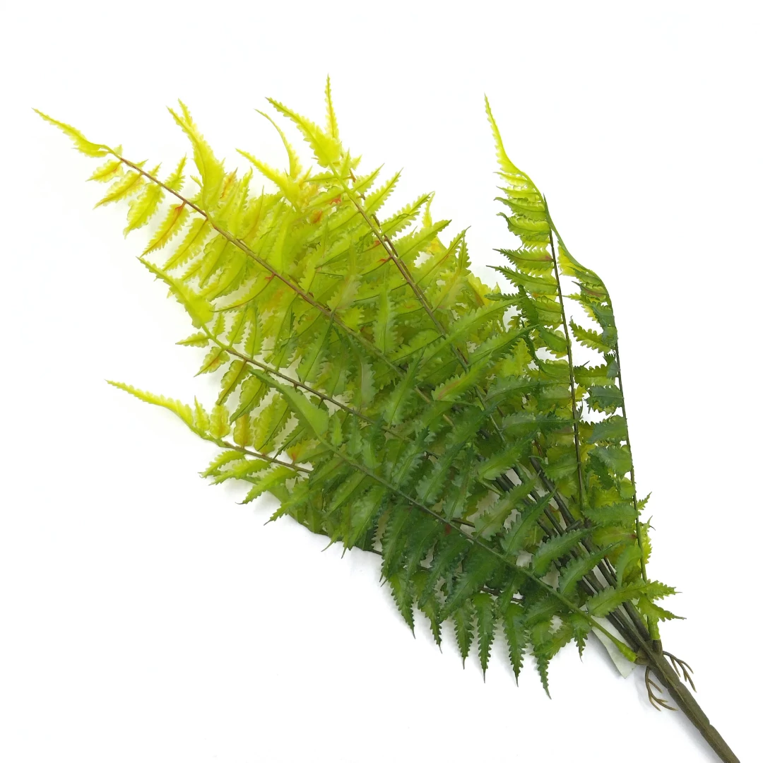 Páfrány 50 cm GD2403483