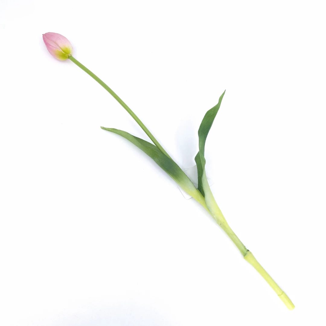 Gumi tulipán bimbós FAY139551