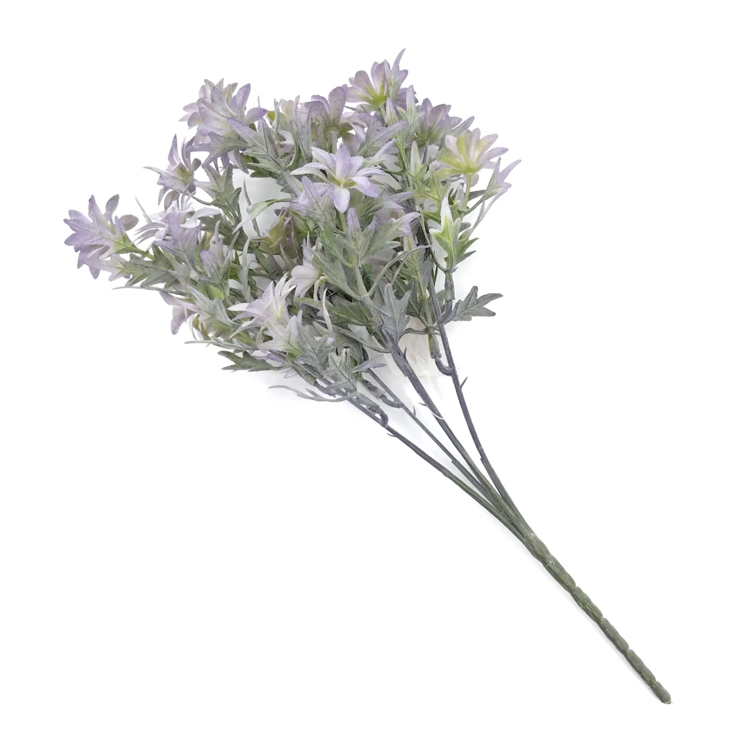 Csillagvirágos bokor x5 32 cm, lila