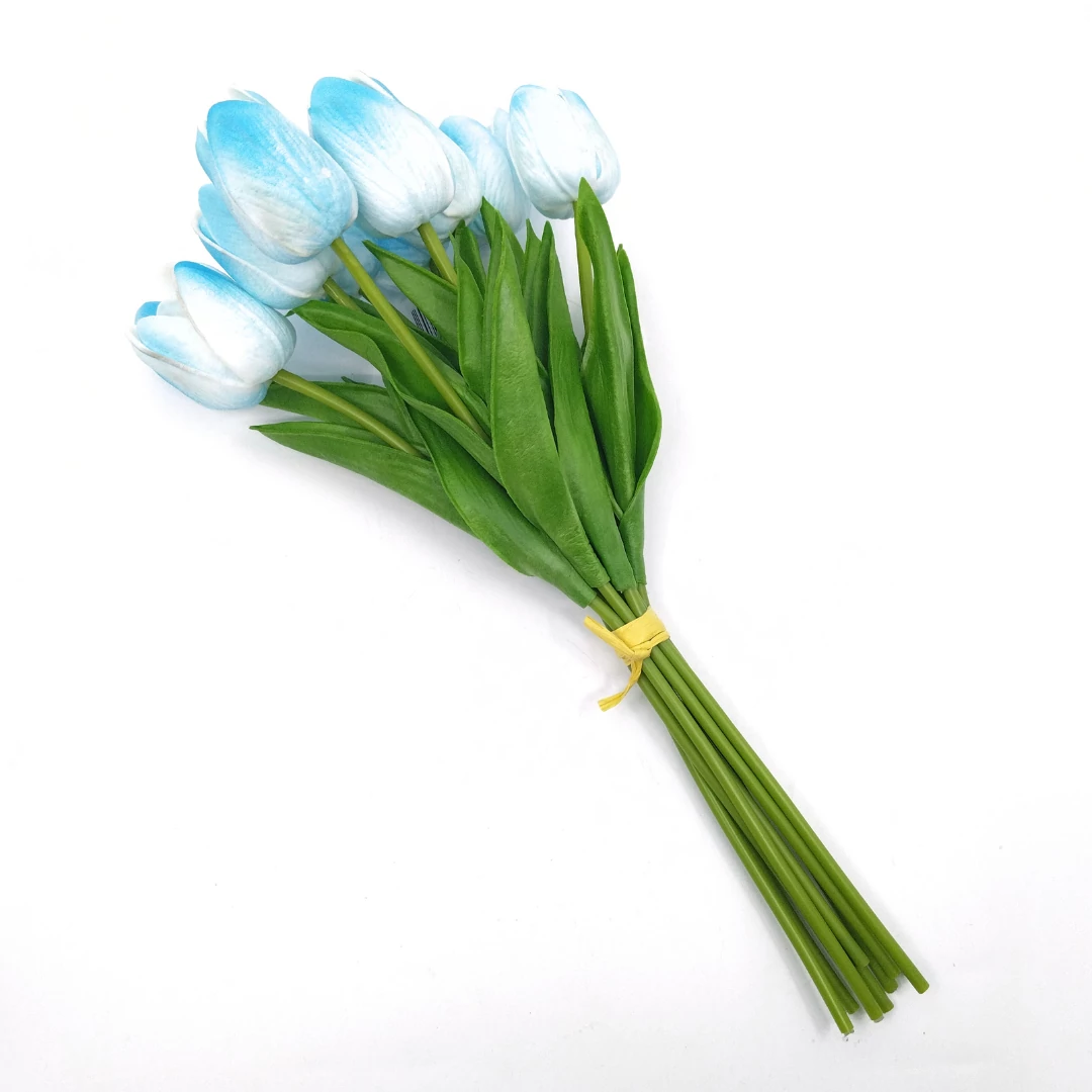 Tulipán gumi 10 szál / csokor, kék