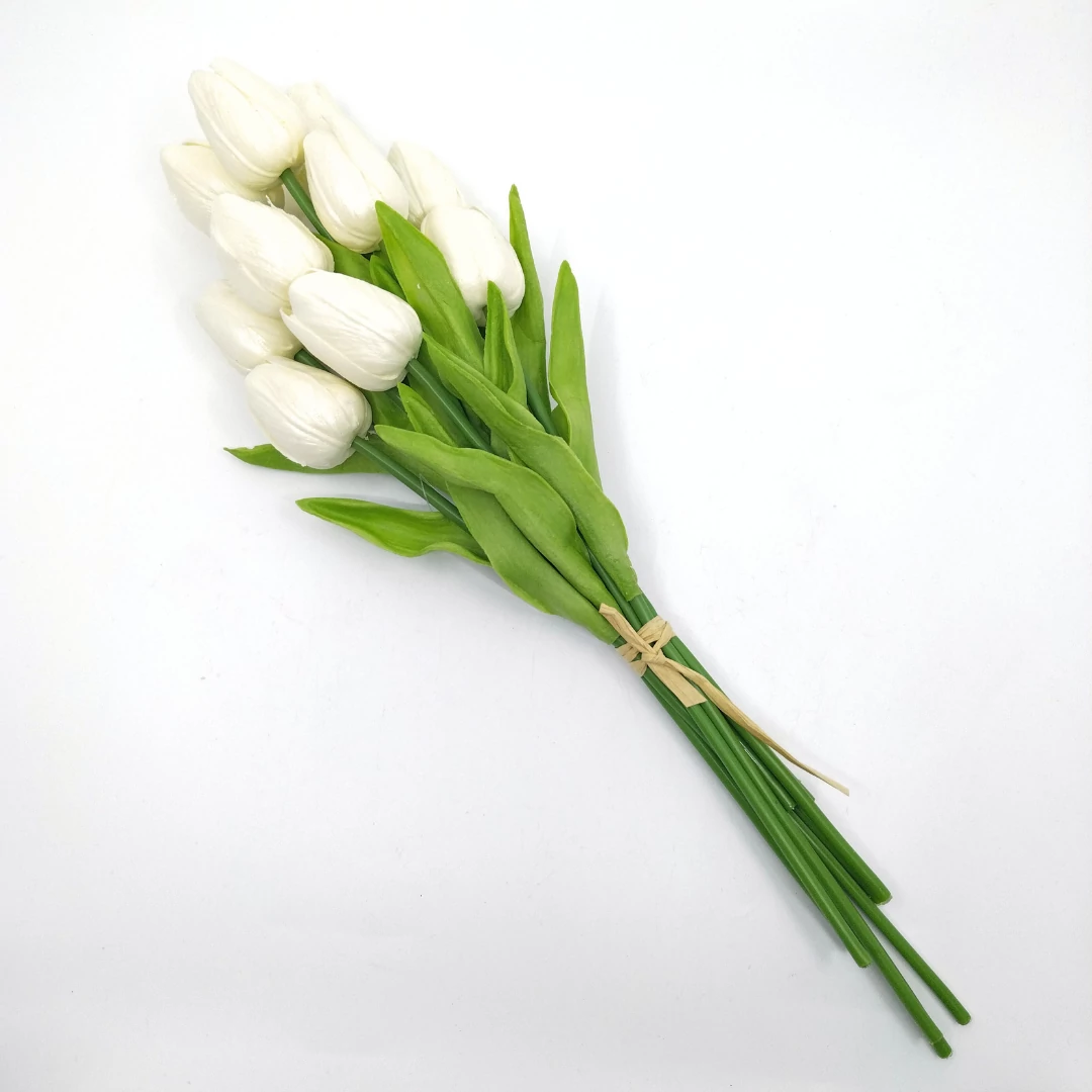 Tulipán x10 kötegelt, krém