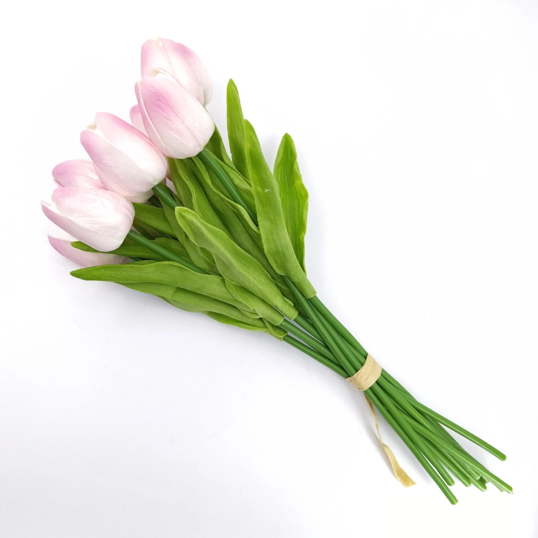 Tulipán x10 kötegelt, rózsaszín-fehér