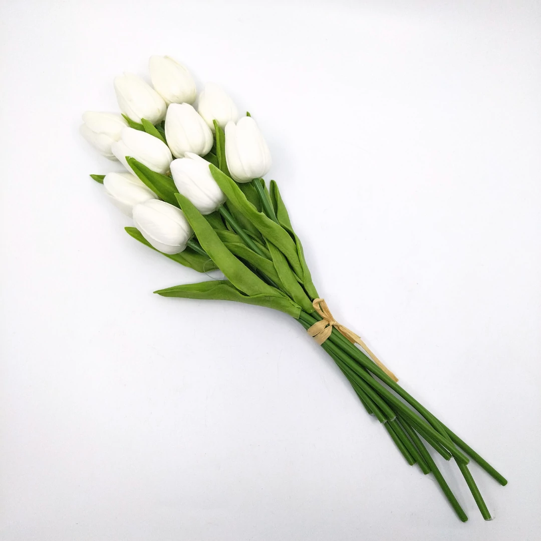 Tulipán x10 kötegelt, fehér