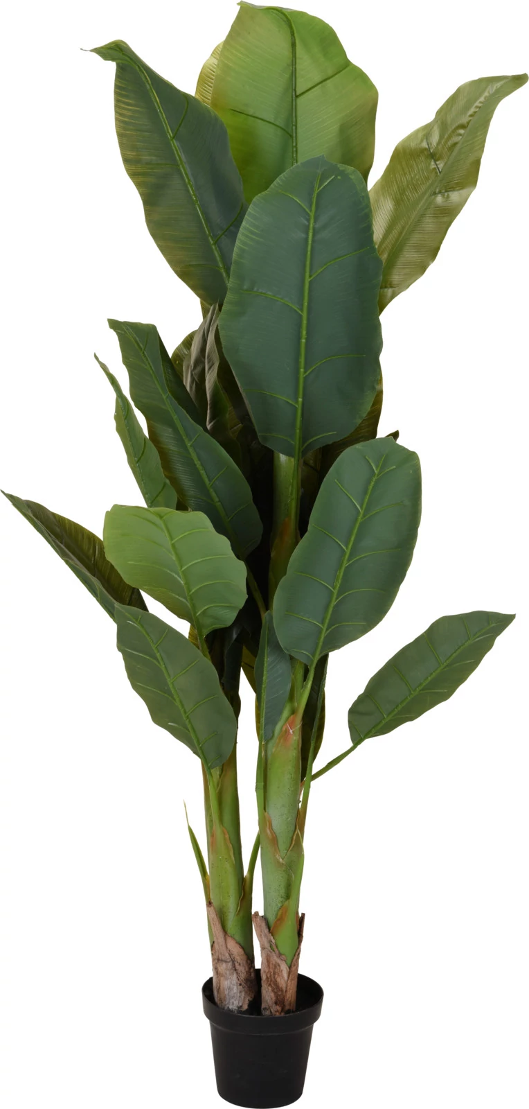 Banánfa plszatik 165 cm