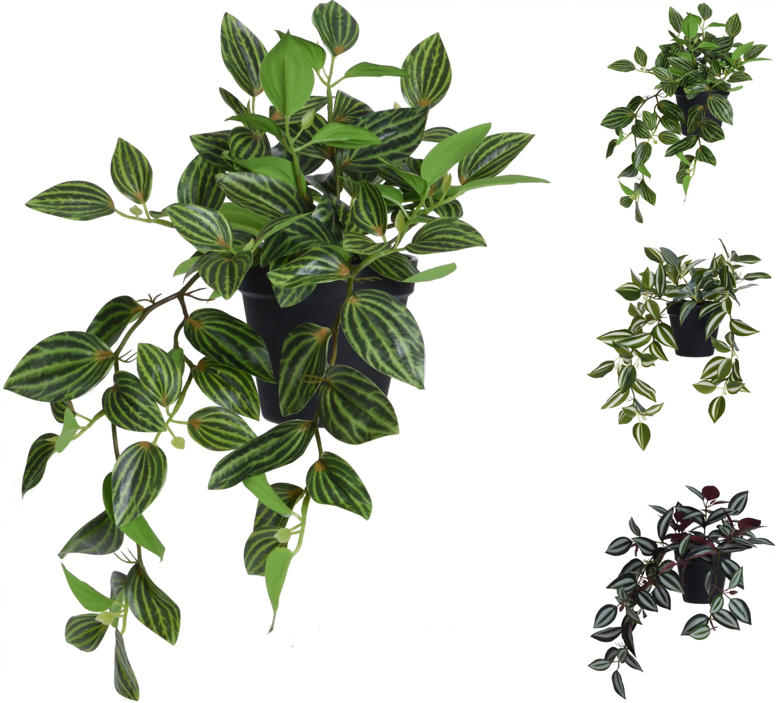 Tradescantia plasztik