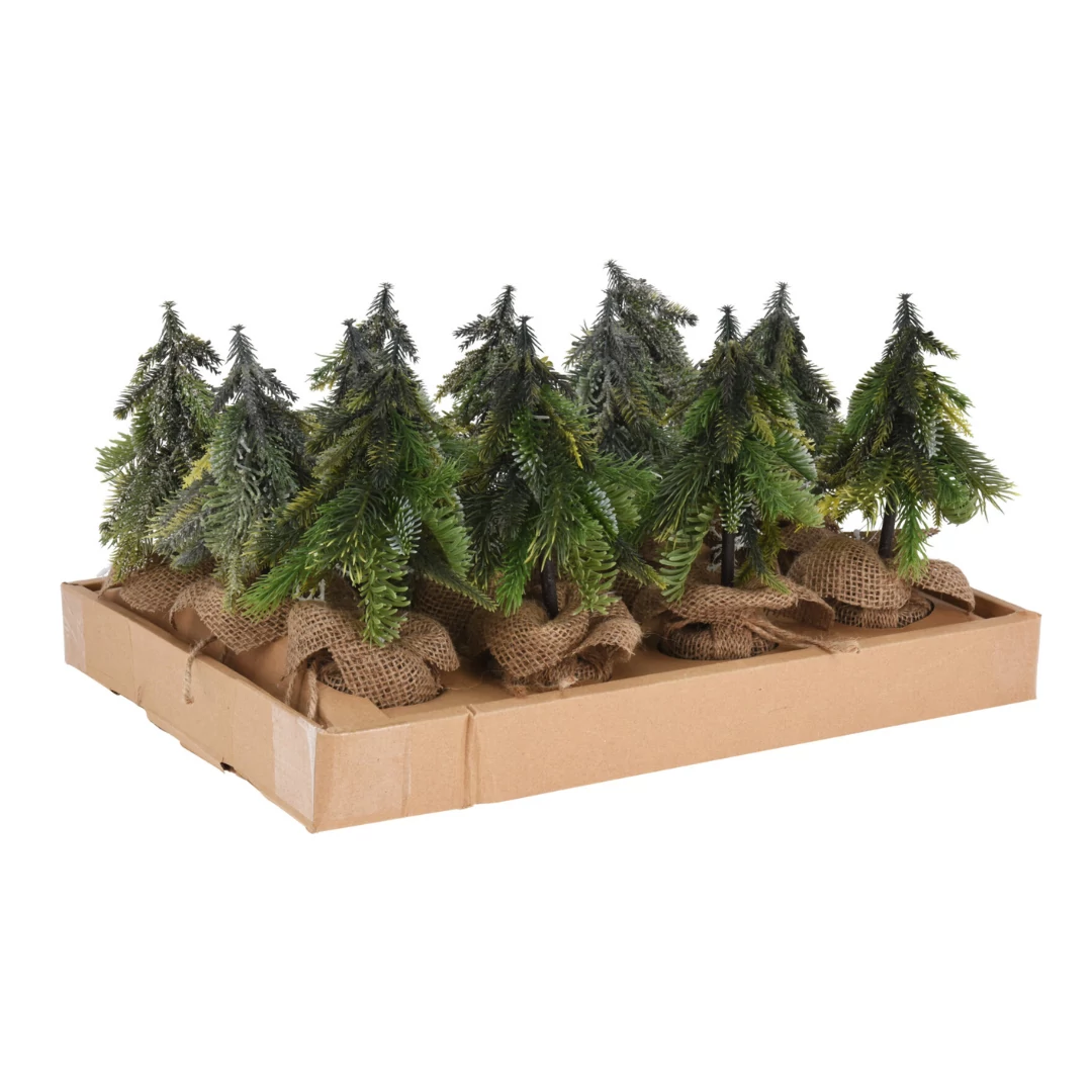 Fenyőfa cserépben 24 cm